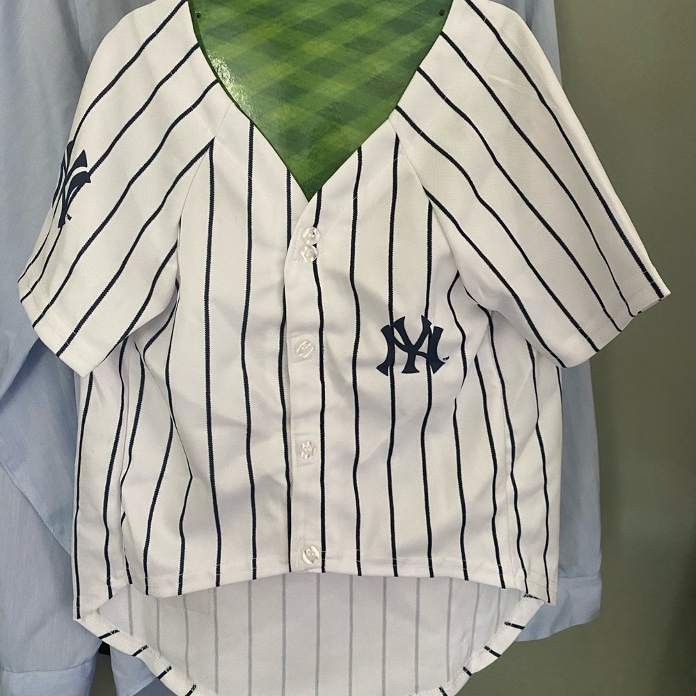 Brand new dog outfit